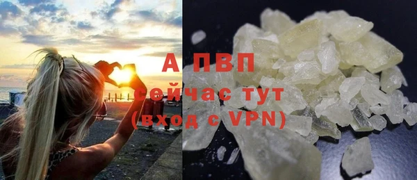 дмт Абаза